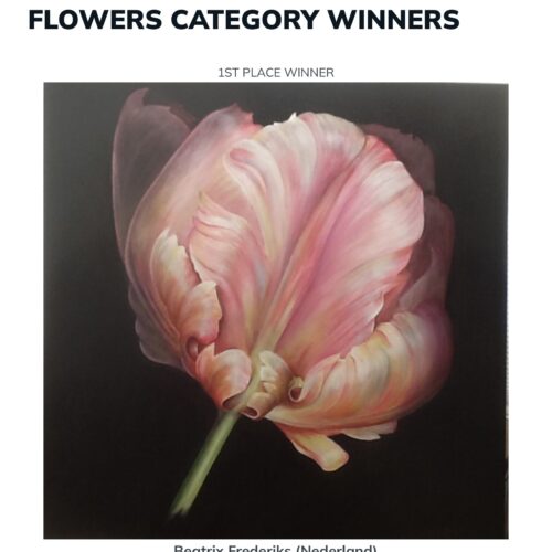 Beatrix Frederiks wint Best Art Award