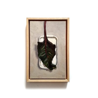 0029-2024-2031-Snijbiet-LR