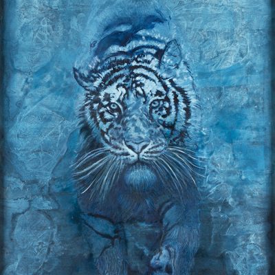 02-Alex-Faude-The-Energy-of-Magic