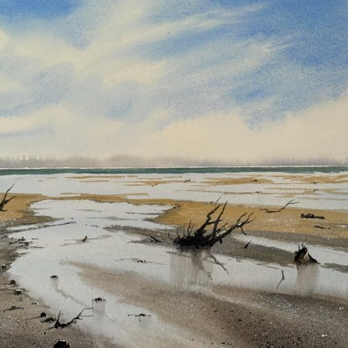 22Simplicity22-Abel-Tasman-Park_Jan-Min_Netherlands