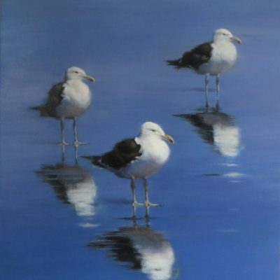 3-Gulls