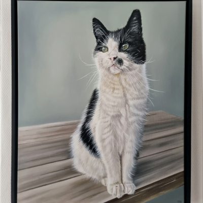 475368562_954036963493810_2272742746529656445_n