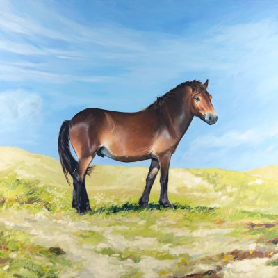 80209-Pegasus-120-x-100-robdonders_art-HR