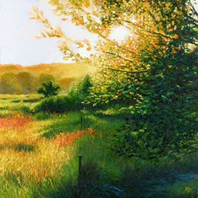 80285-Waar-een-Winterkoninkje-mij-begroette-40-x-40-robdonders_art-XLR