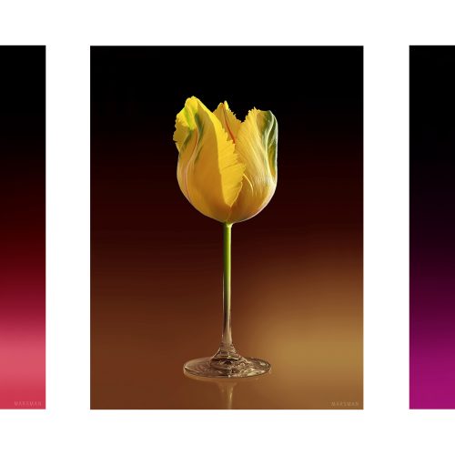 A-glass-of-flower