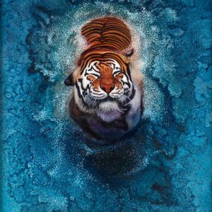 Bursting-out-of-the-blue120-x-90-cm-oilpainting