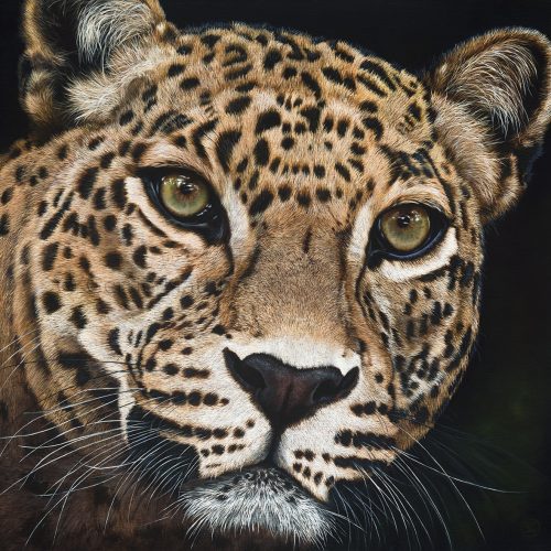 Charlie_webshop_watermerk1