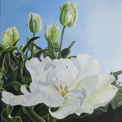 Chemie-van-het-licht-kopie-2