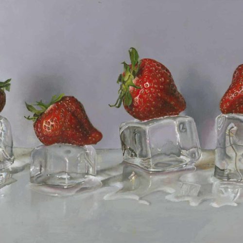 Cor-Winterkoninkjes-klein-1