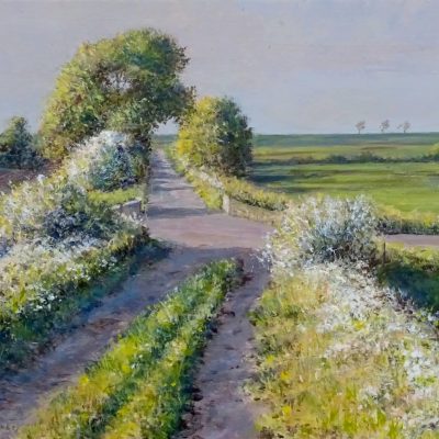 DSC01335-sch-Fluitekruid-ap-30x16-25-5-20