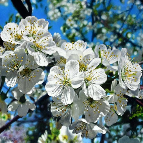 Elk-jaar-opnieuw-40-x-50-2025-scaled