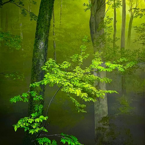 F0C07A75-AA3E-451B-A1FF-FB0CD3564B6F