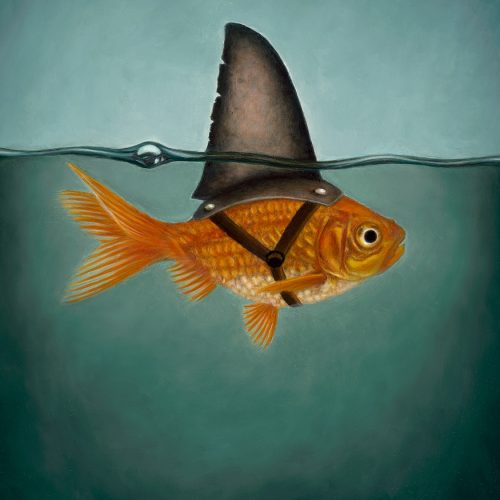 Fake-It_by_githa_van_eeuwen