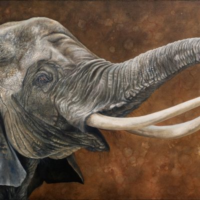 Floris_watermerk_website