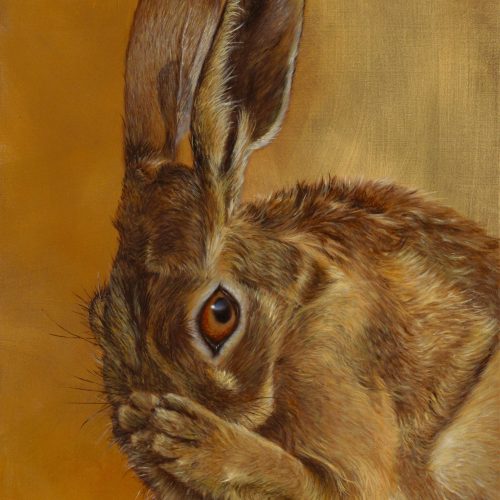 Hare-care-kleiner
