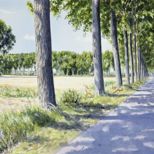 Hedwigepolder_Jan-Peeters-c