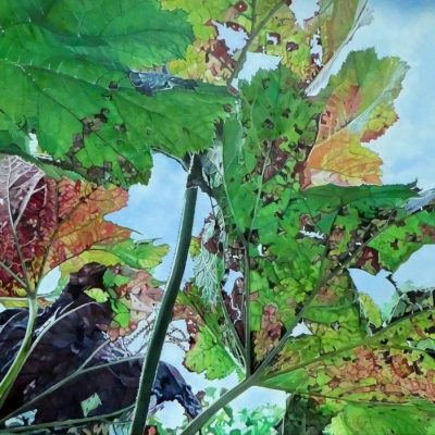 Herfst-Van-onderen-bekeken-4