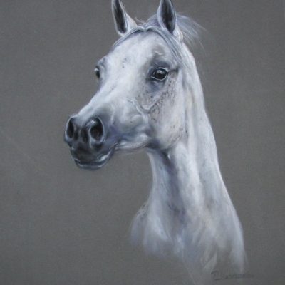 IMG_0327.JPG-2-3.jpg-2