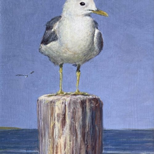 IMG_8920-meeuw-10x15-1