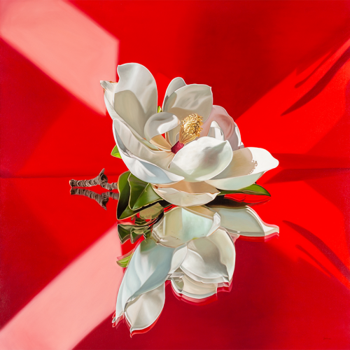 Magnolia-in-Red