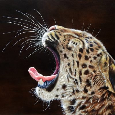 Nighty-Night-1500x988-2