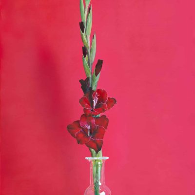 Reaching-ftS-Re-art-80x100cm