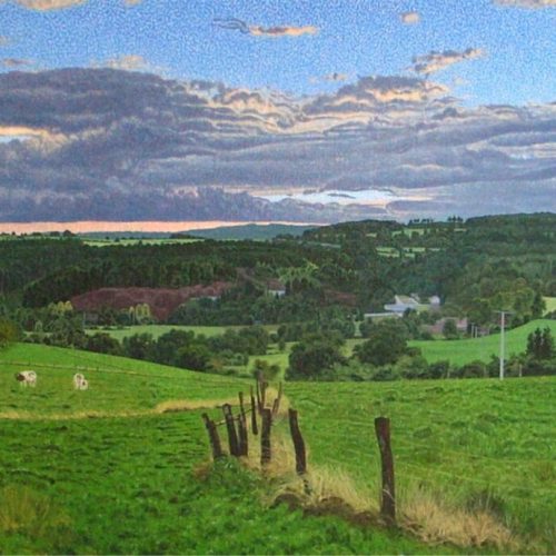 Soir-dans-les-Ardennes-scaled