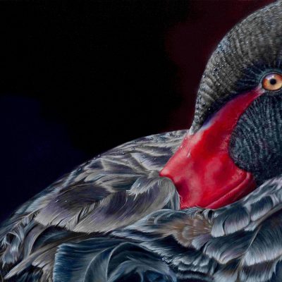 Tranquil-Reflections-klein