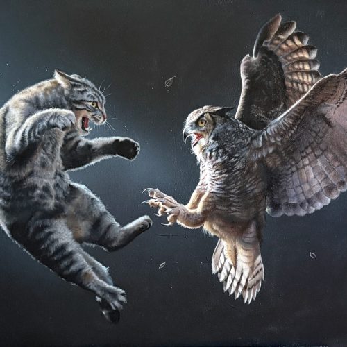 UFC