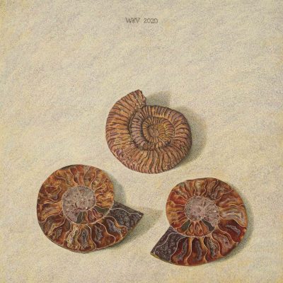 Versteend-leven.tif-8