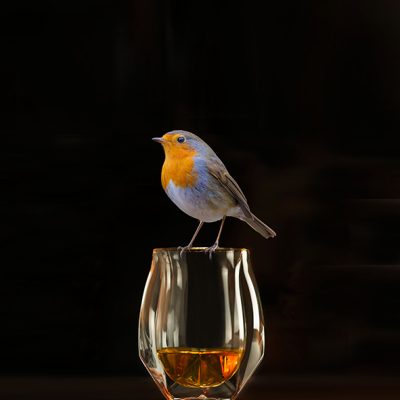 Whisky-versus-Roodborst-2-kopie