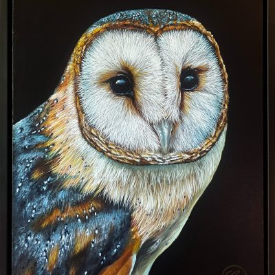 casper_baklijst_kerkuil1-scaled