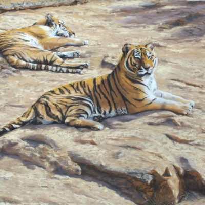 nienhausb_aperfectplace-scaled