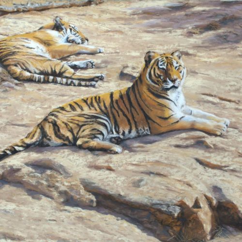 nienhausb_aperfectplace-scaled