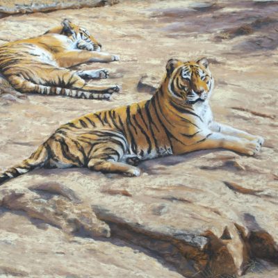 nienhausb_aperfectplace