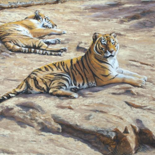 nienhausb_aperfectplace