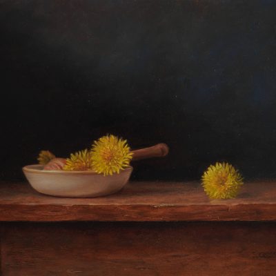 paardenbloemen-scaled