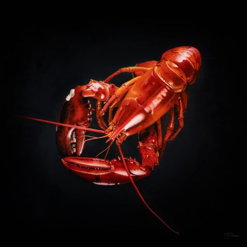 sjoerd_stellingwerf_fijnschilder_2106_kreeft