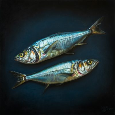 sjoerd_stellingwerf_fijnschilder_2402_sardines