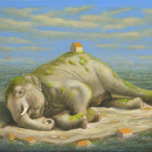 wouter-berns-after-nature