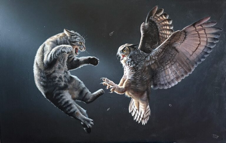 UFC