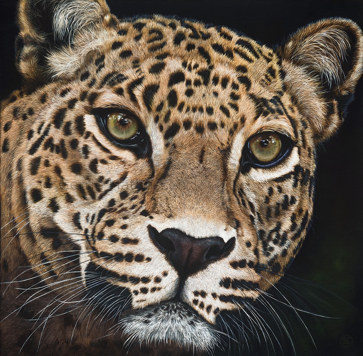 Charlie_webshop_watermerk1