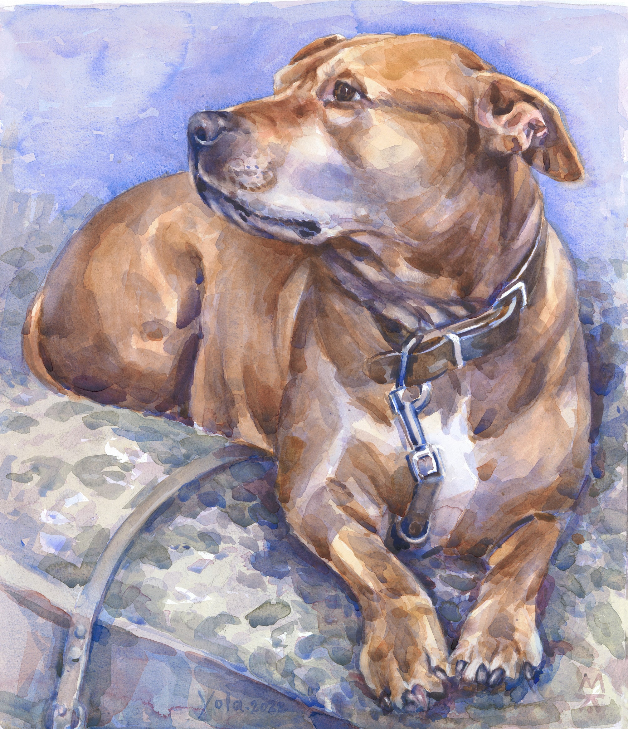 Yola-aquarel-op-papier-51x62cm-kopie-3