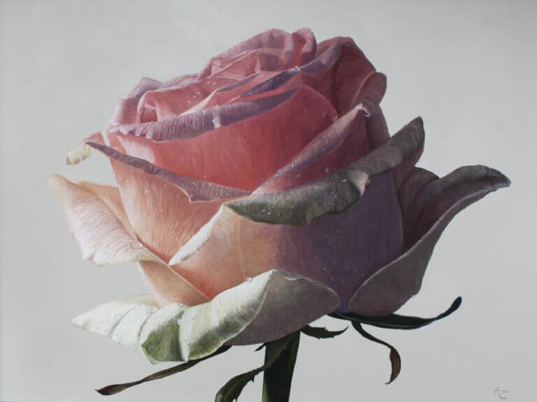 roosmetwaterdruppelsIIklein