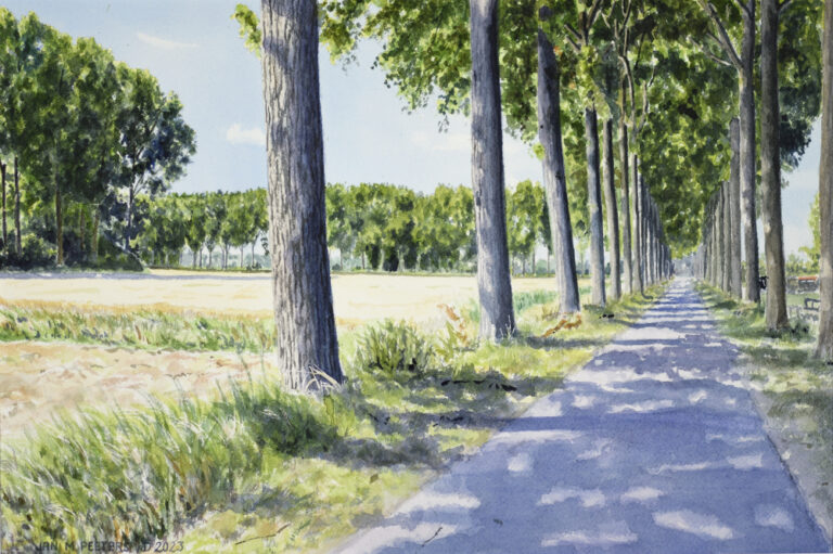 Hedwigepolder_Jan-Peeters-c